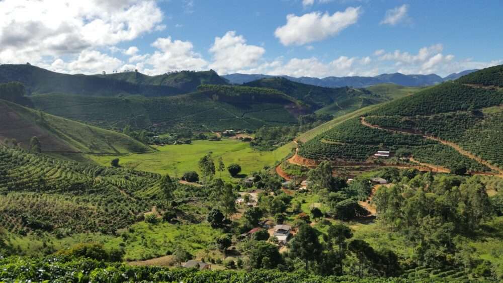 São Paulo Coffee Region